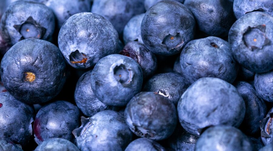 Benefits of Blueberries