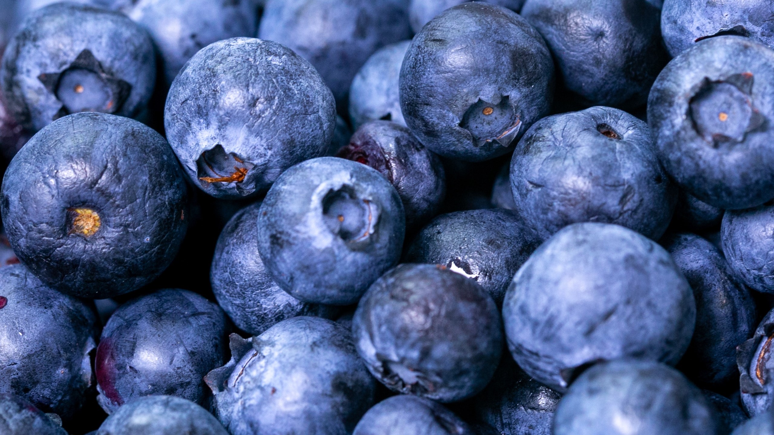 Benefits of Blueberries