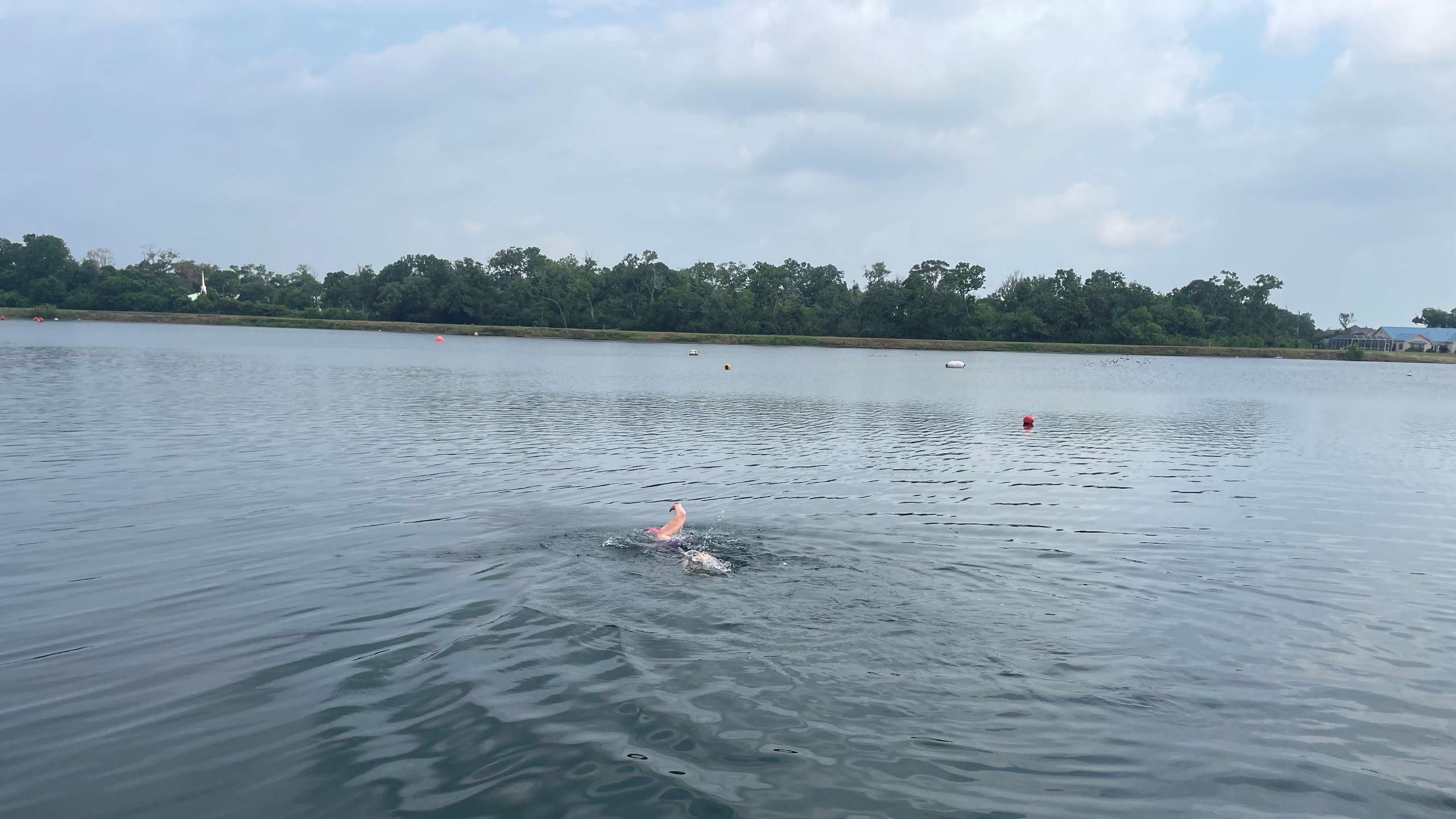 Open Water Swimming Tips