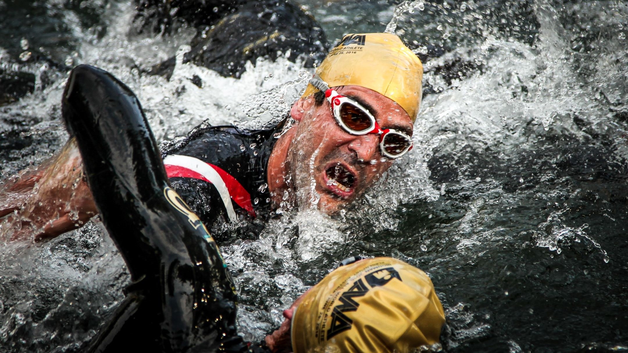 Training at Different Speeds in Swimming